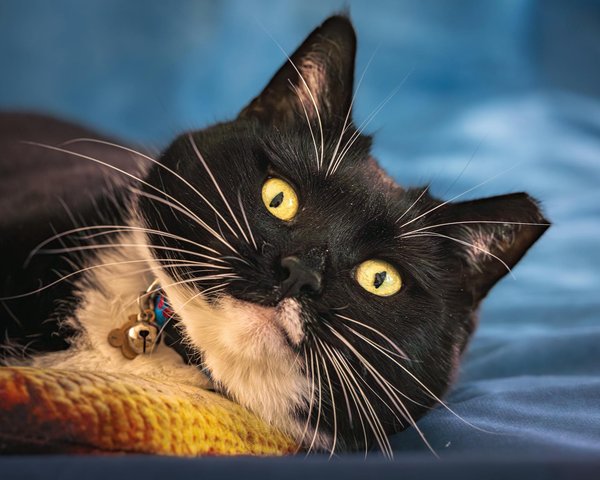 How Can UK Businesses Adapt to Post-Pandemic Economic Changes?